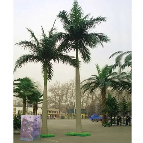 Outdoor-Date-Palm-Leaf