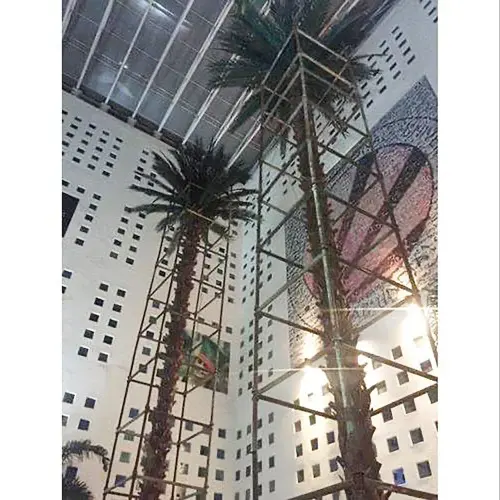 Date-Palm-Tree40Feet