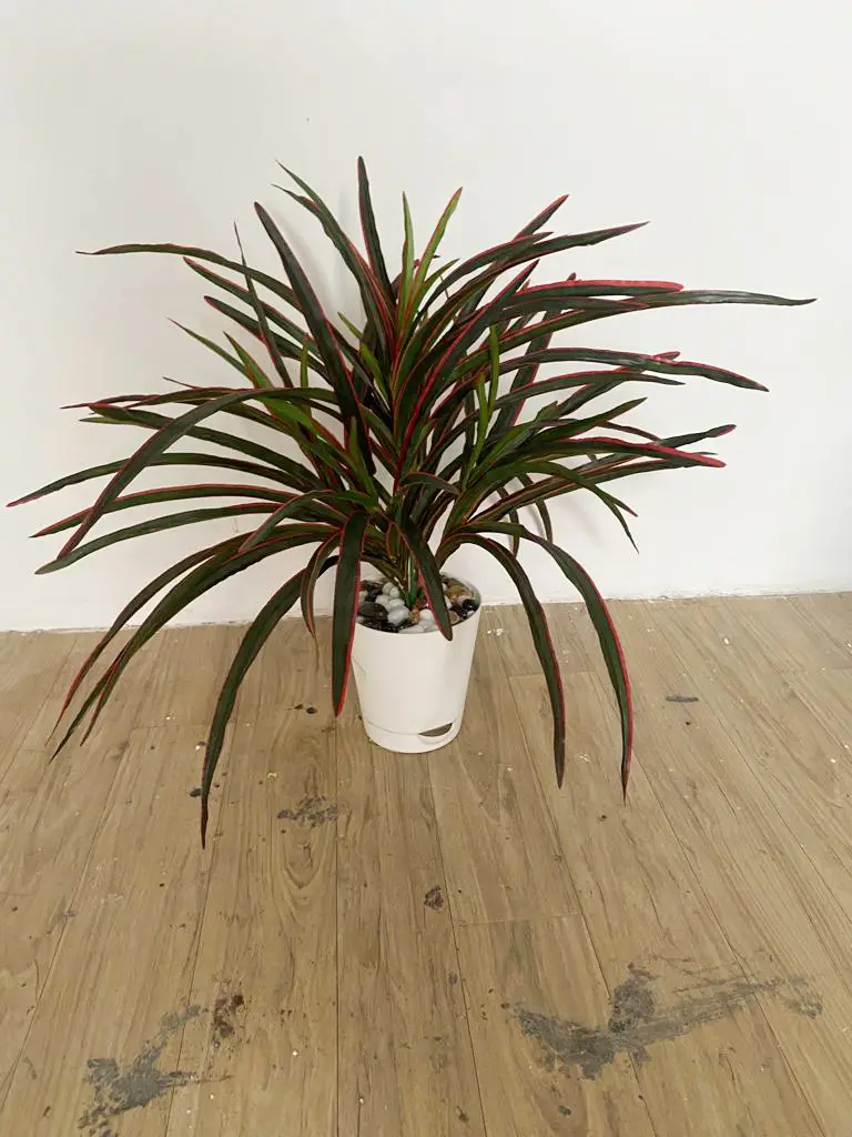 Artificial Succulent Plant
