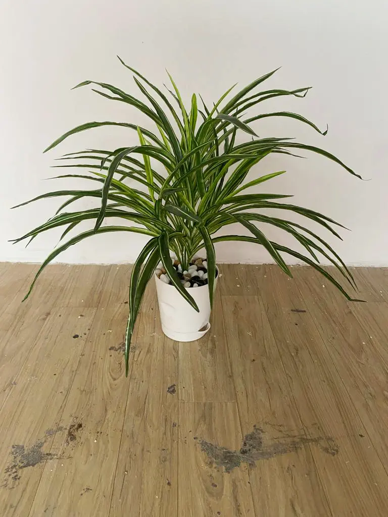 Artificial Succulent Plant