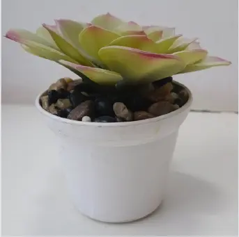 Artificial Succulent Plant