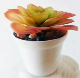 Artificial Succulent Plant