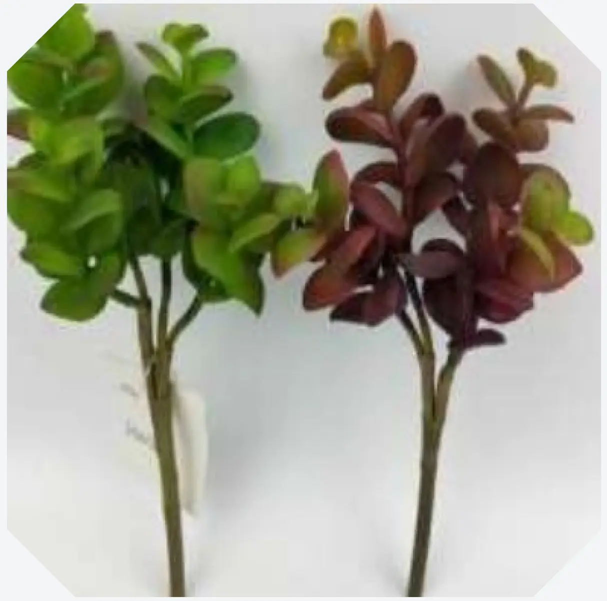 Artificial Succulent Plant