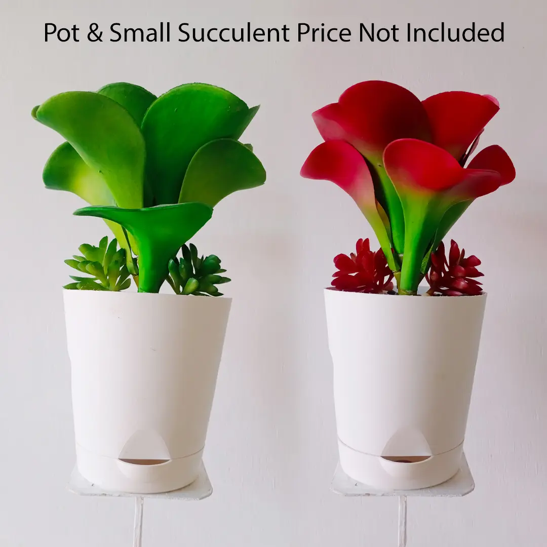 Artificial Succulent Plant