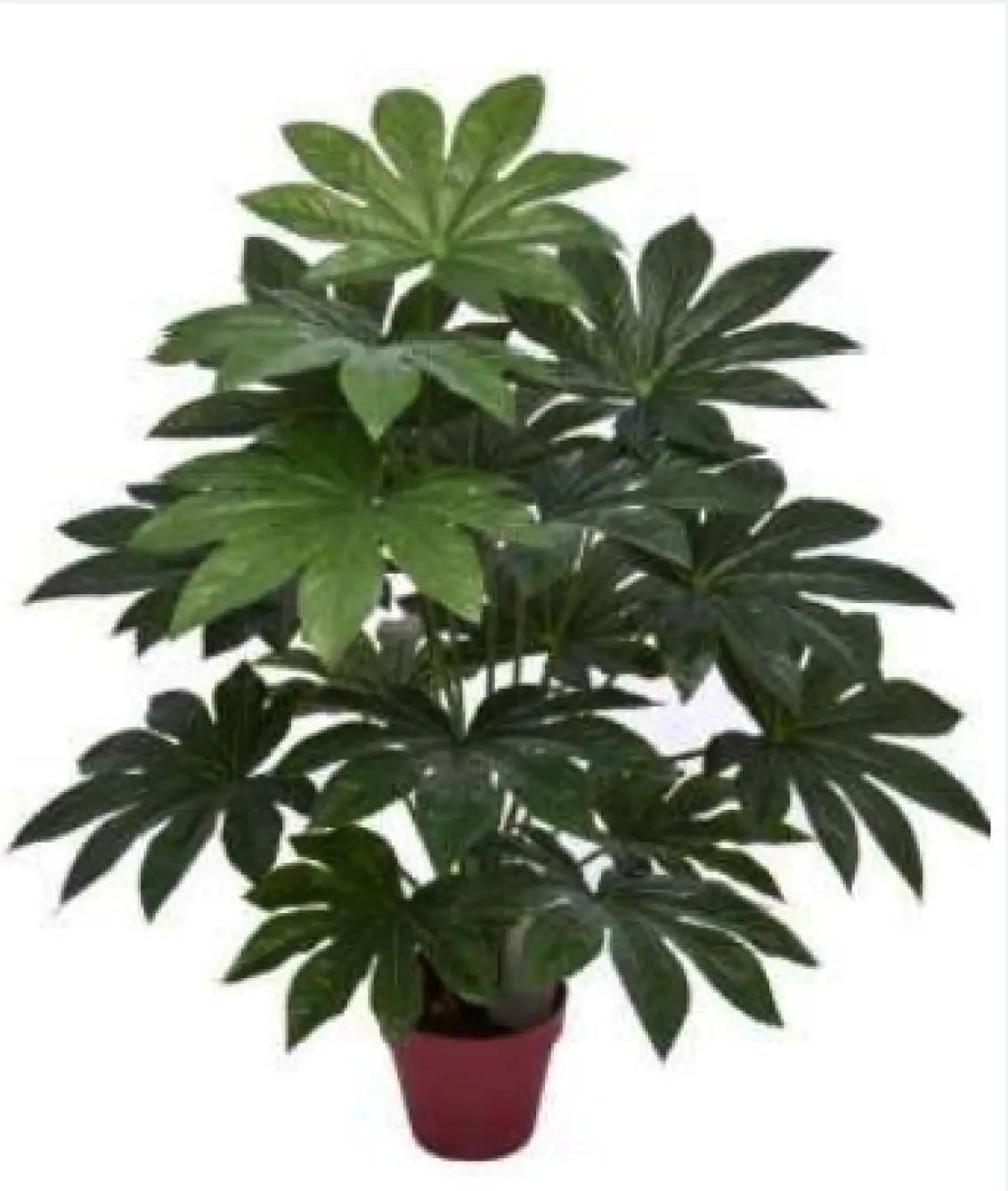 Artificial Succulent Plant