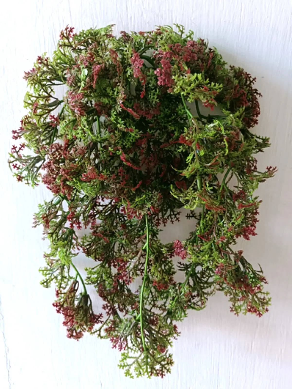 Artificial Succulent Plant