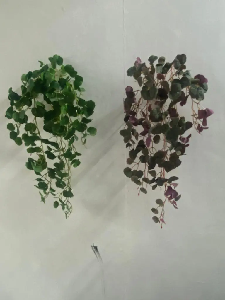 Artificial Succulent Plant