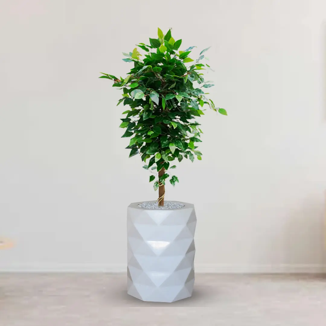 tp01 Artificial Tree