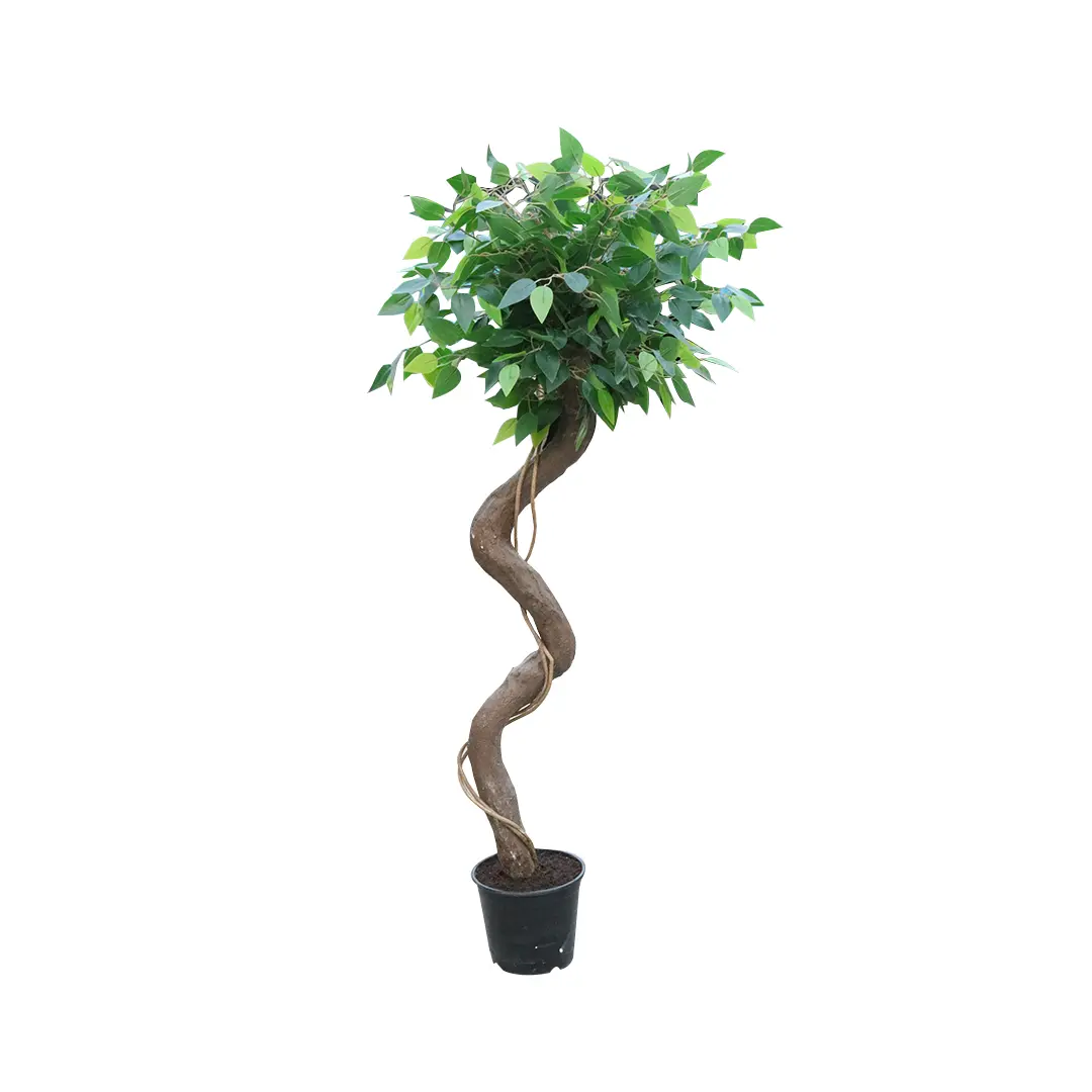 Artificial Tree