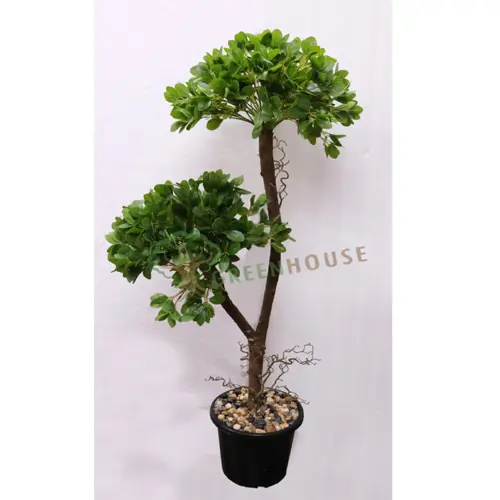 Artificial Tree